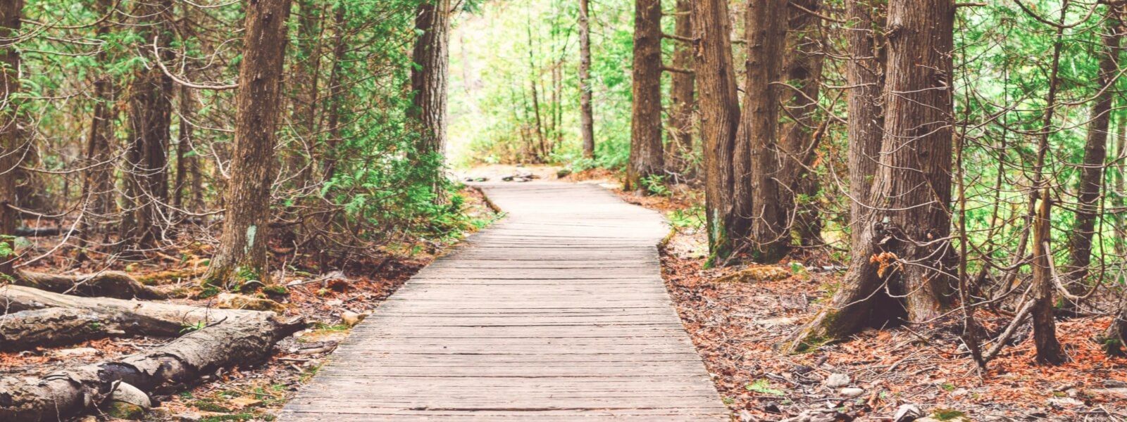 wexford trails-banner