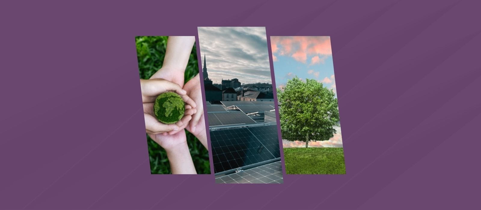 Ttc   sustainability featured   desktop www.talbotsuites.ie_v2